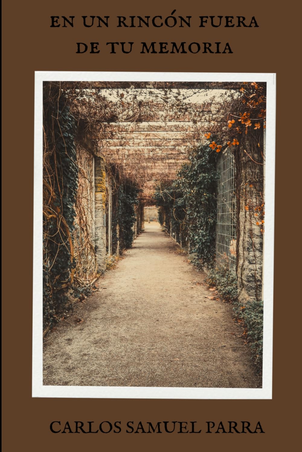 En un rincón fuera de tu memoria