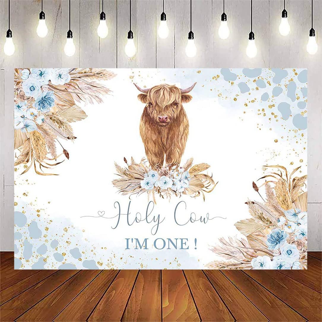 Avezano Holy Cow I'm One 1st Birthday Party Backdrop Boho Blue Floral First Birthday Party Decorations Pampas Grass Background Banner Photo Shoot Props (Blue, 8x6ft)