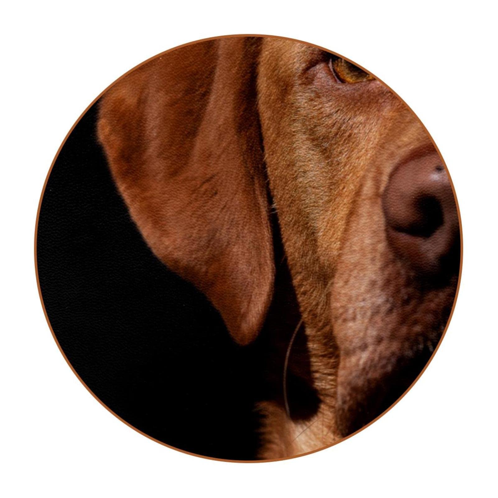 Lot De 4 Dessous-De-Verre Humoristiques Pour Enfants Motif Chien