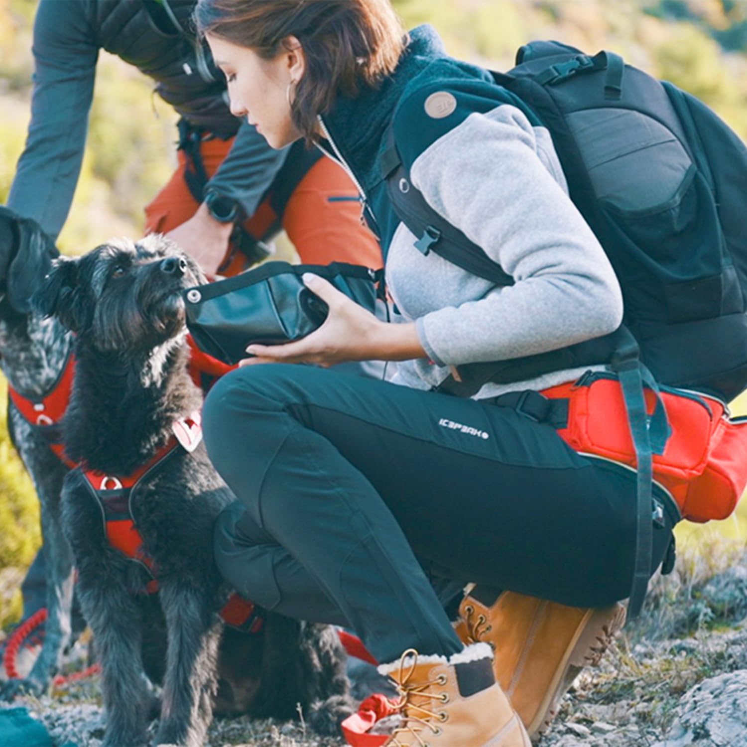 Baudrier Ceinture Confort Trek I-DOG (Marque Française) canicross, cani randonnée, cani Jogging, cani Trail, Utilisation Sportive ou Loisirs pour Courir avec Son Chien, Taille Unique - Rouge