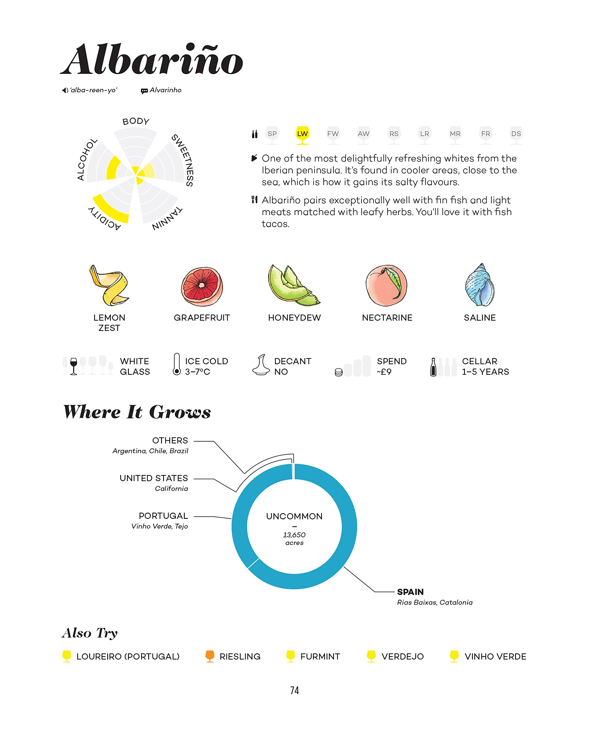 Wine Folly Deluxe: The Master Guide