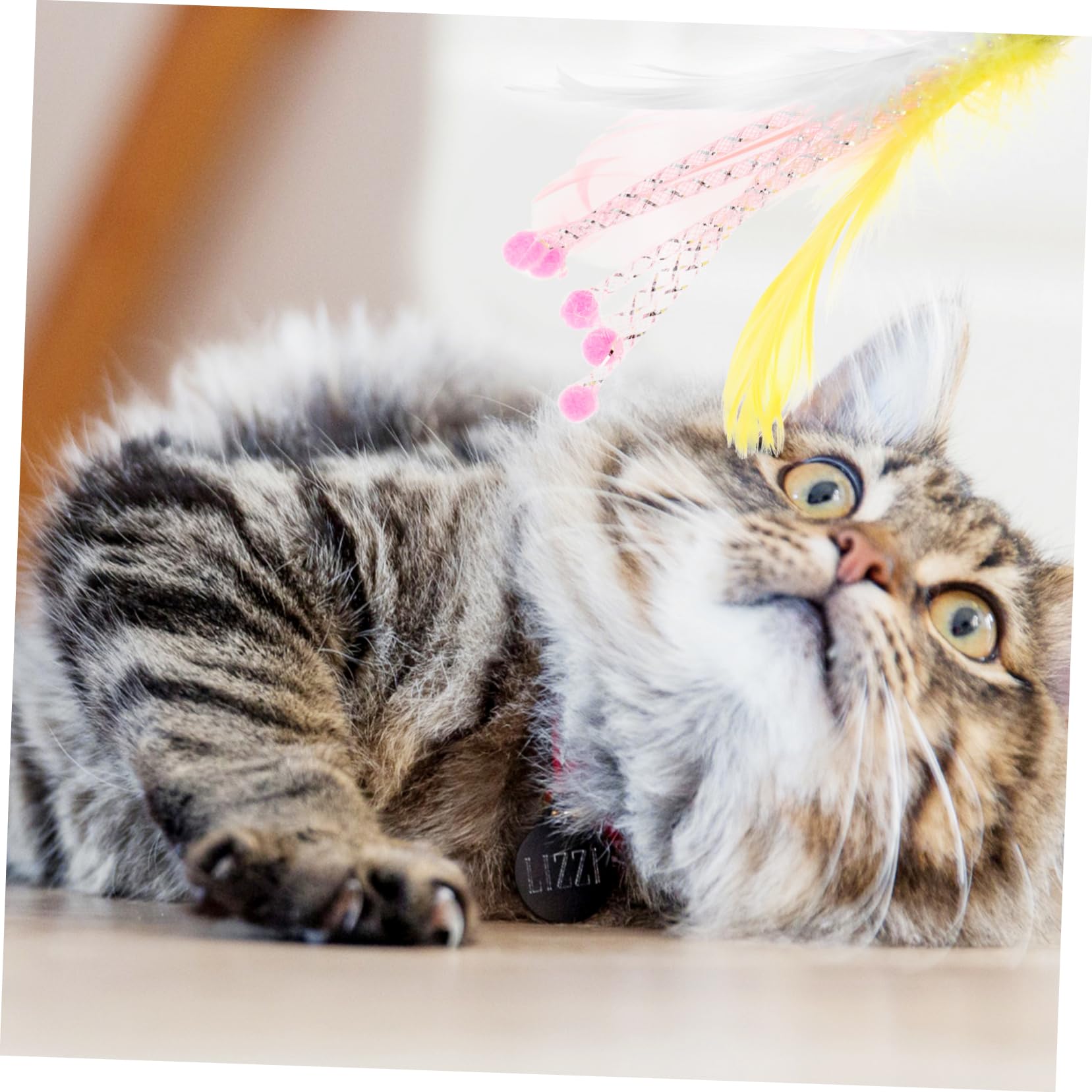 40piezas Varitas De Juguete para Gatos De Interactivas Reemplazo De Varitas Teaser para Ejercicio y Diversión Gatos