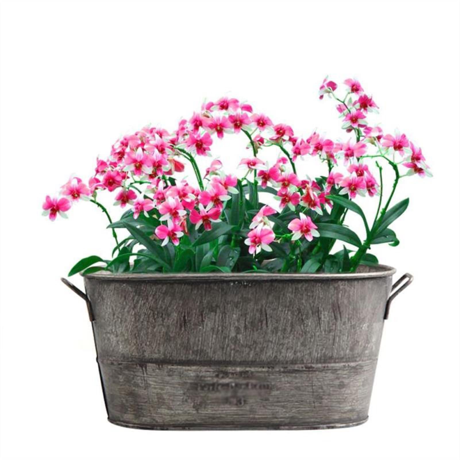 Vasi per Piante da Giardino per Esterni E Interni, in Metallo Zincato, Fioriera da Giardino, Fioriera, Contenitore per Piante, Decorazione per Esterni E da Giardino, Vasi per,Gris