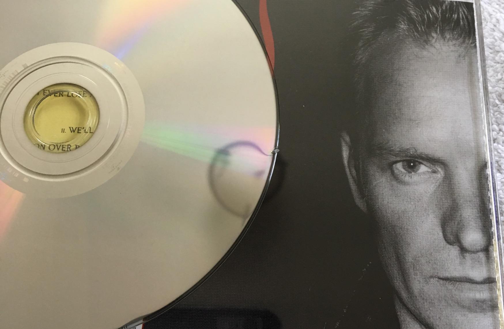 Gordon Matthew Thomas Sumner, CBE: Post-Police