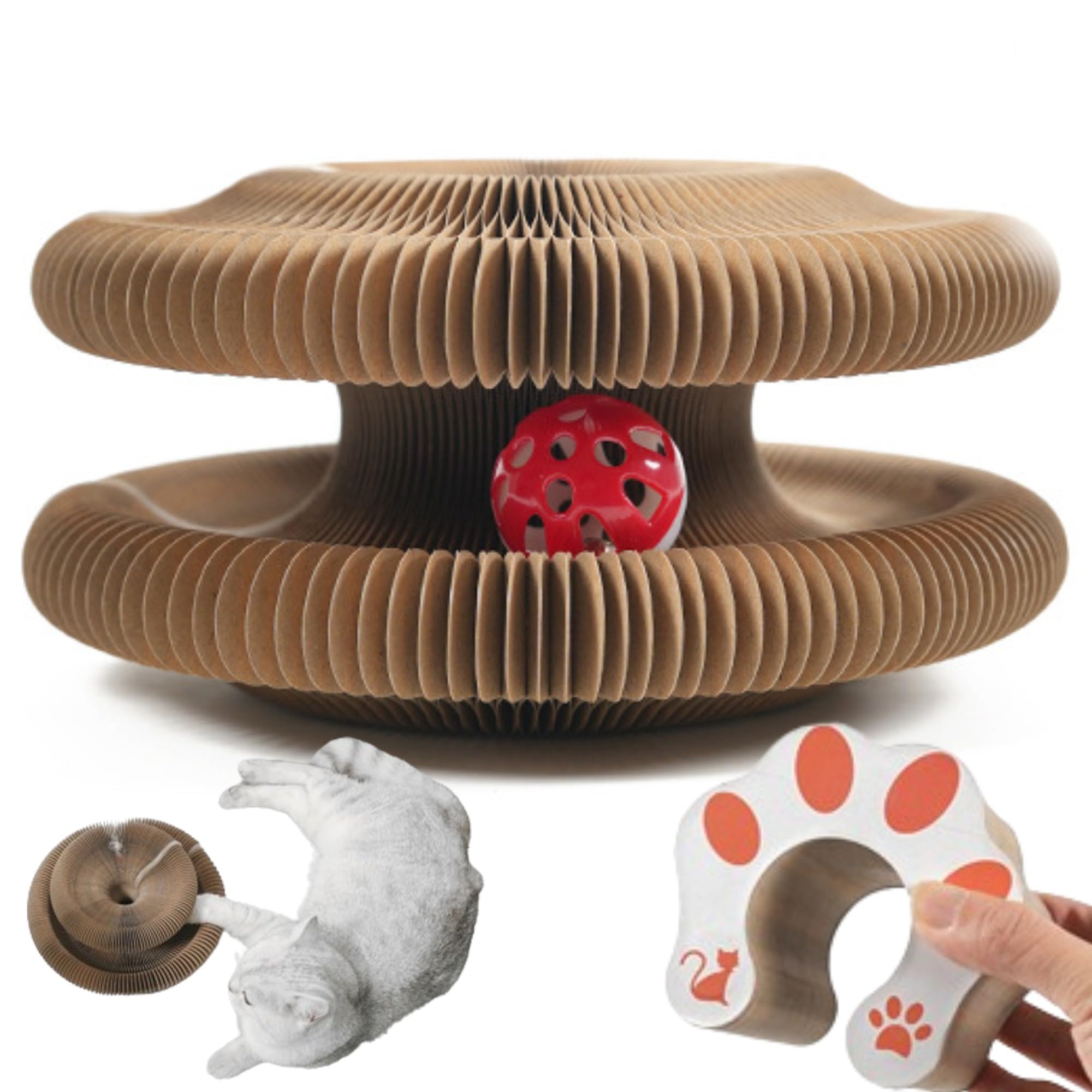 Generic Kitty Kurlz Cat Toy, Interactive Scratching Board with a Ball, Magic Organ Cat Scratcher, Foldable Accordion Toy, Mental Physical Training Exercise for Indoor Cats
