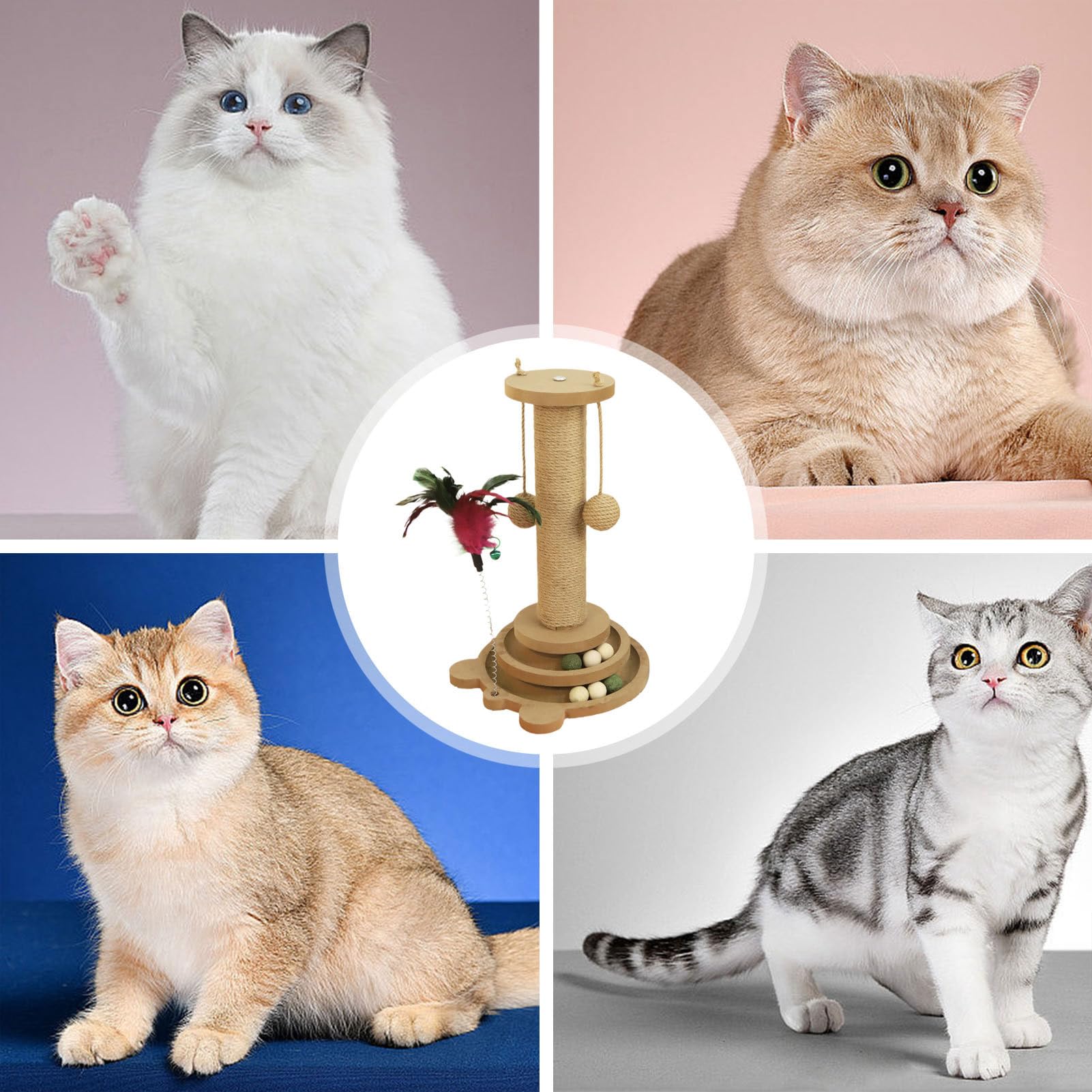 Griffoir pour Chat Circuit À Balle pour Chat