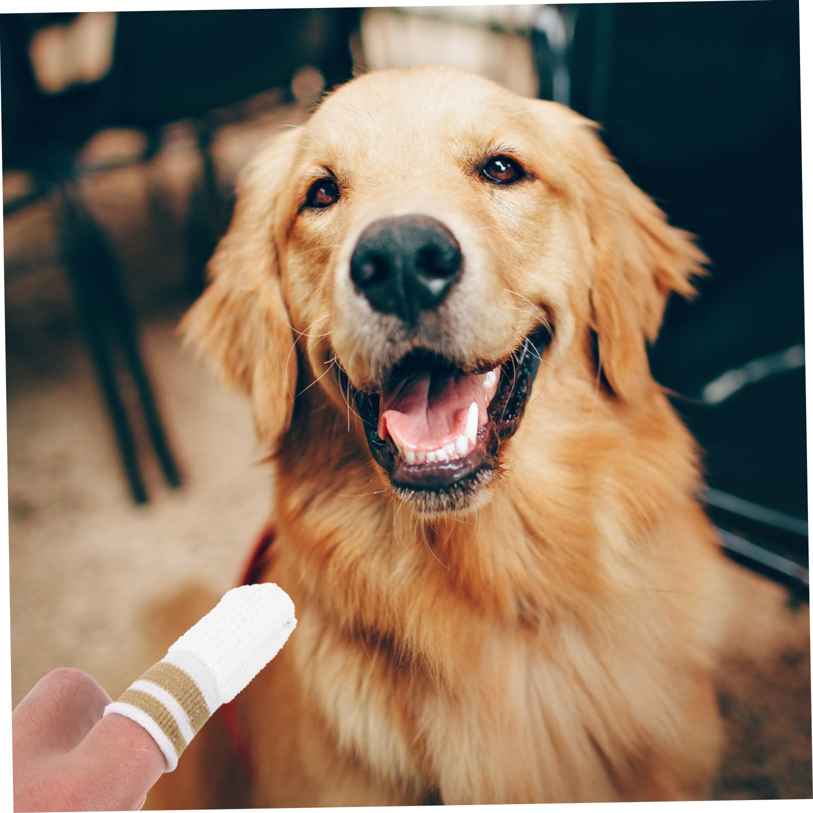 INOOMP 30stücke Zahnreinigung Fingerwipes Für Hunde Und Katzen Praktische Zahnpflege Für Haustiere Sanfte Reinigung Für Frischen Atem Und Gesunde Zähne