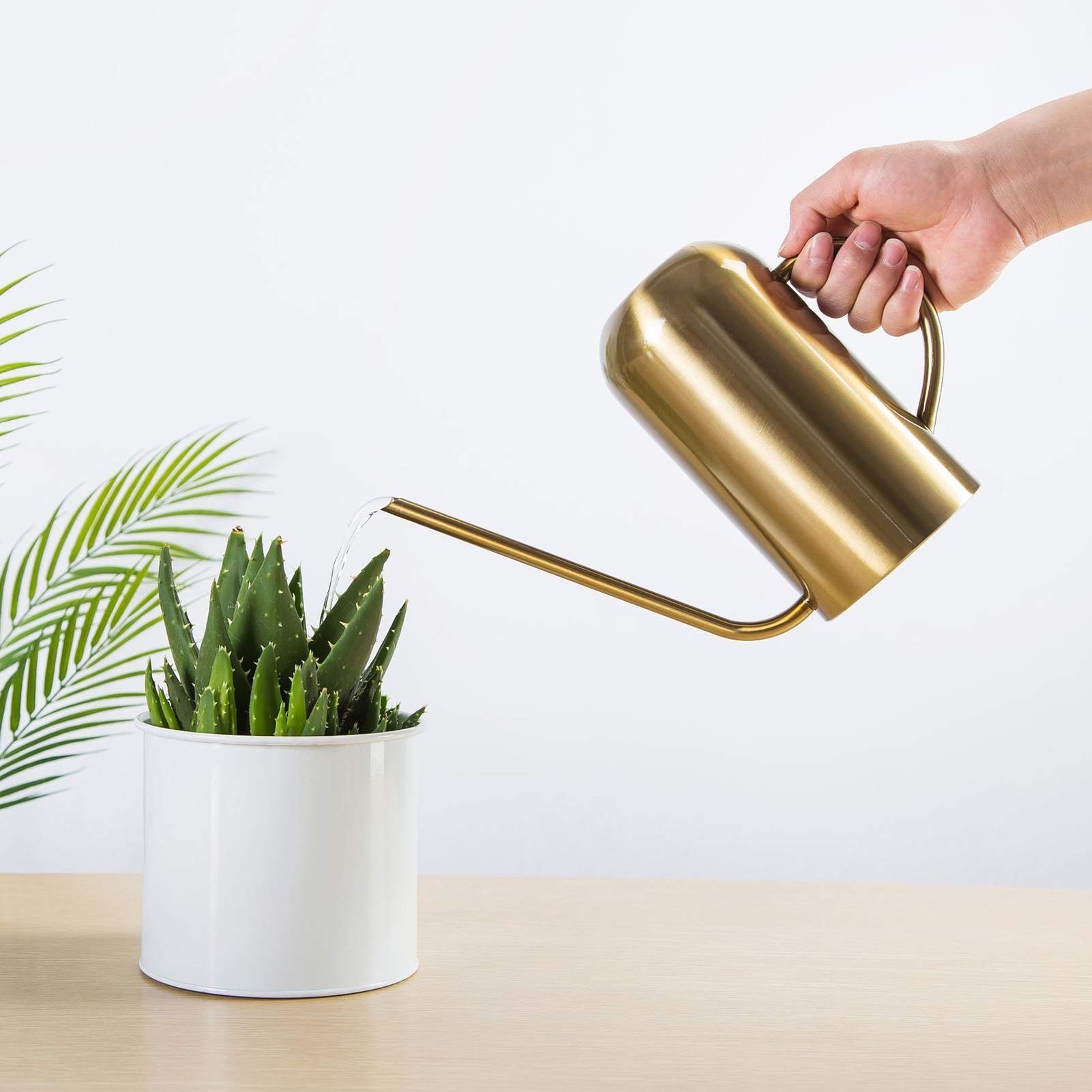 Esta regadera de 1500 ml, de Acero Inoxidable, con Boquilla Larga, es Ideal para regar Plantas de jardín y Flores (Color: Negro).