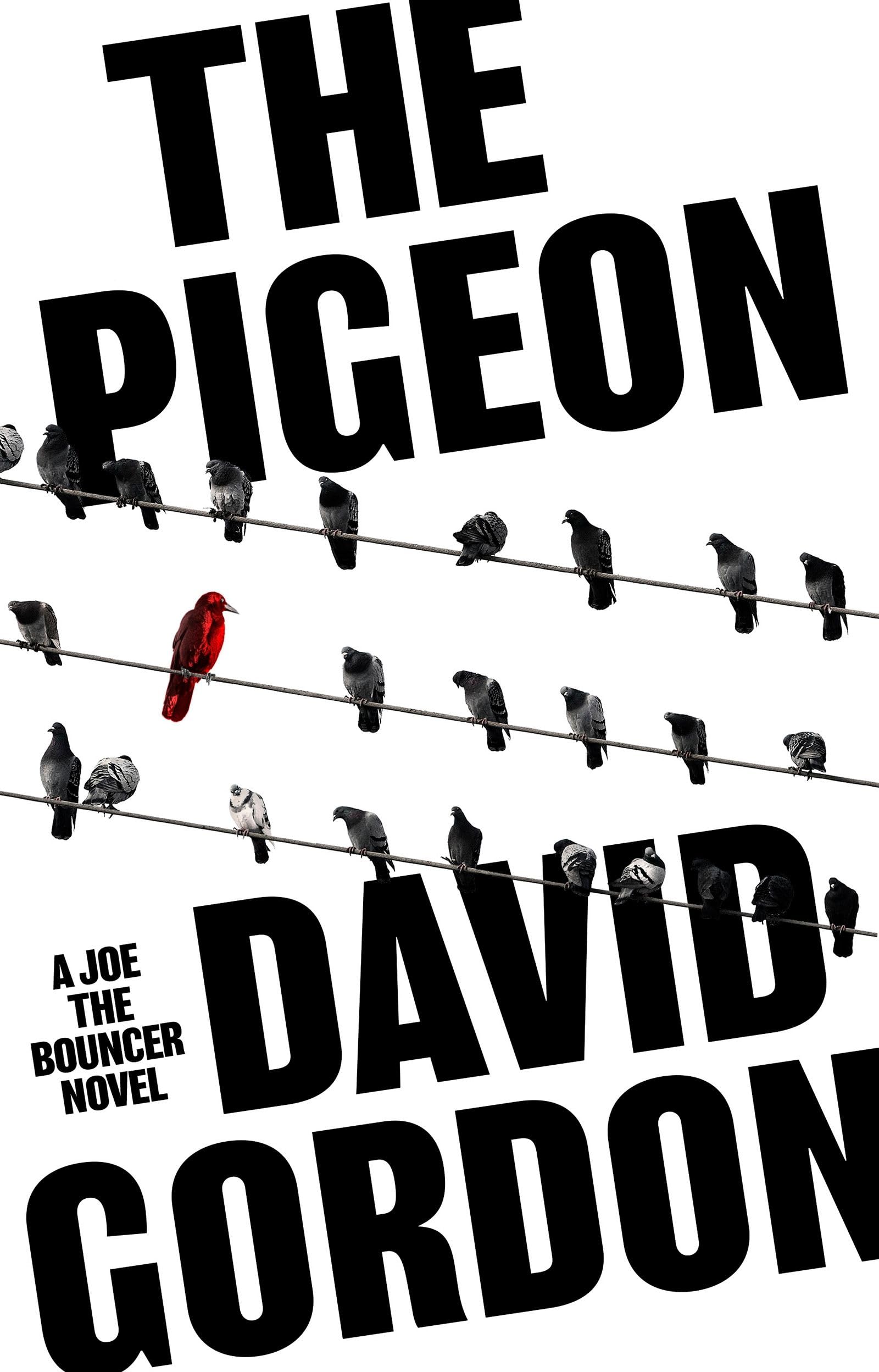 Pigeon by David Gordon (Paperback Book)