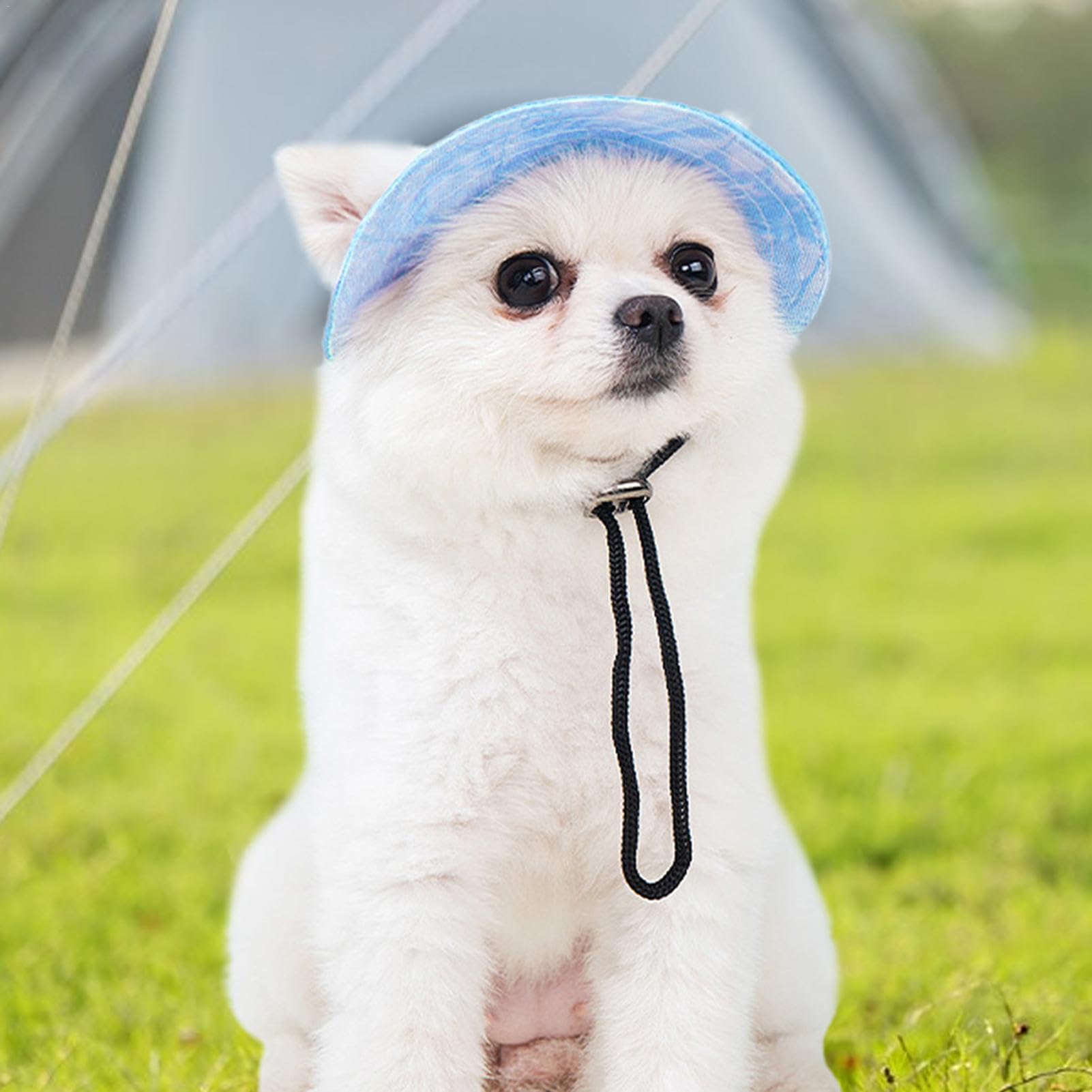 Cappello Da Sole Per Cani E Gatti In Velluto A Coste – Leggero, Traspirante, Taglie S/M/L/XL, Colore Rosa, Protezione UV