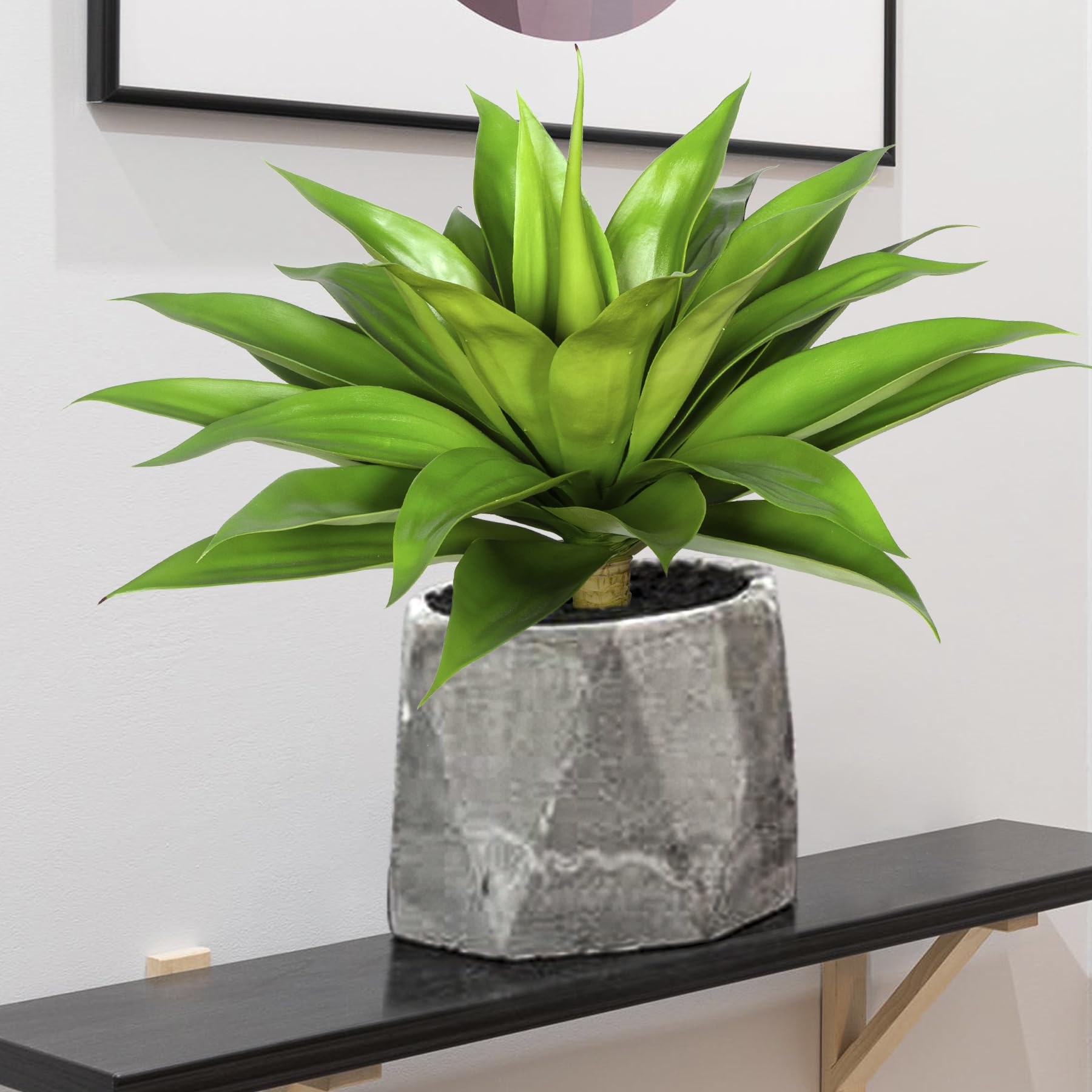 アガベ 約90cm 大型観葉植物 アガベ アオノリュウゼツラン 9号（0904）中型 オシャレな観葉植物