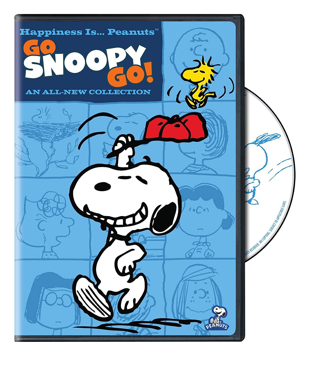 Happiness is... Peanuts(TM): Go, Snoopy Go! (DVD) [DVD]