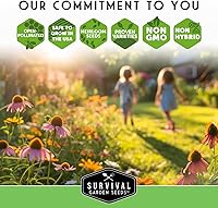 Vista 8 de Semilla de manzanilla romana para plantar, paquete con instrucciones para plantar y cultivar hierbas medicinales calmantes en tu huerto casero