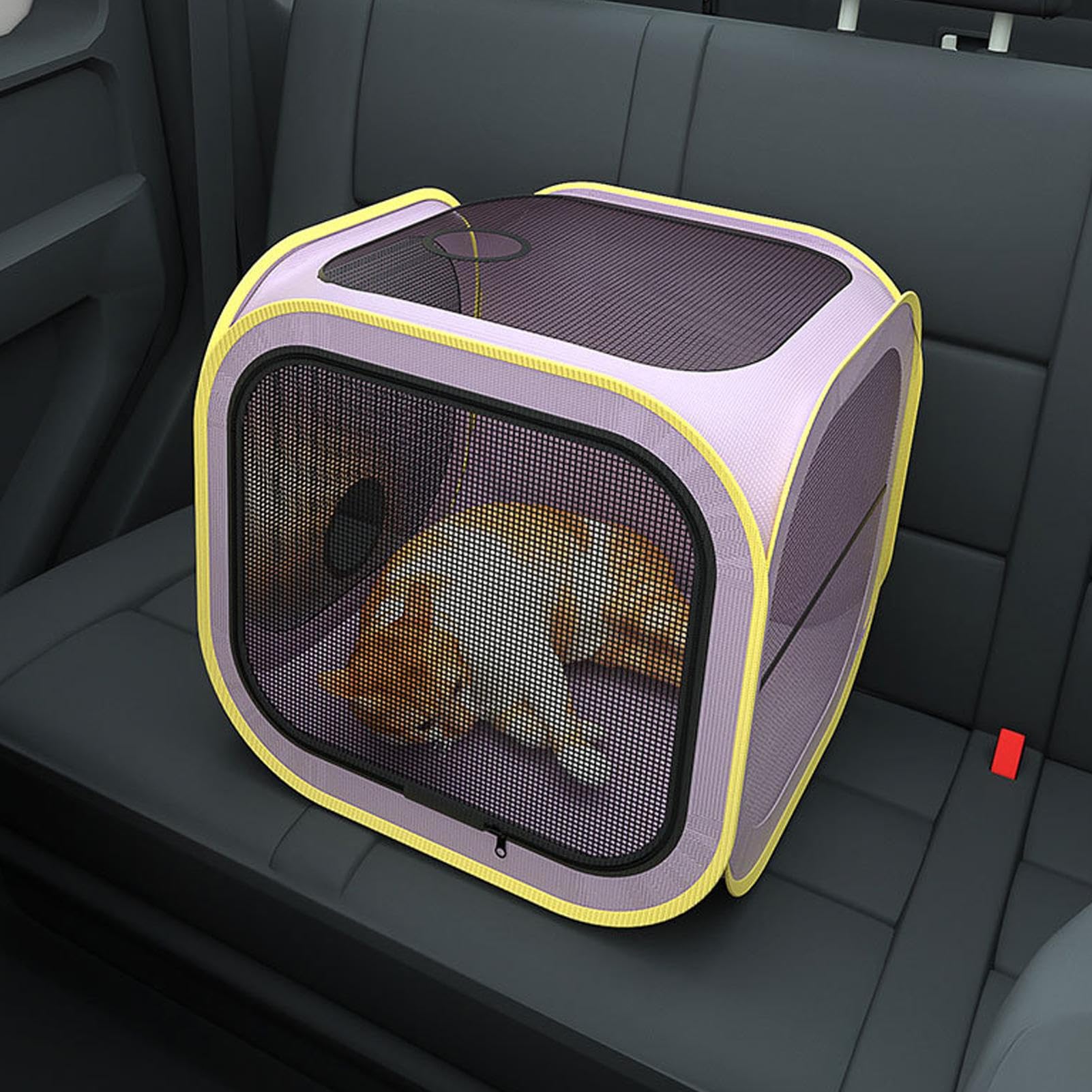 de Secado para Mascotas Jaula de Secado para Perros | secadora para perros para en Casa, Peluquería Canina, Tiendas y Exterior