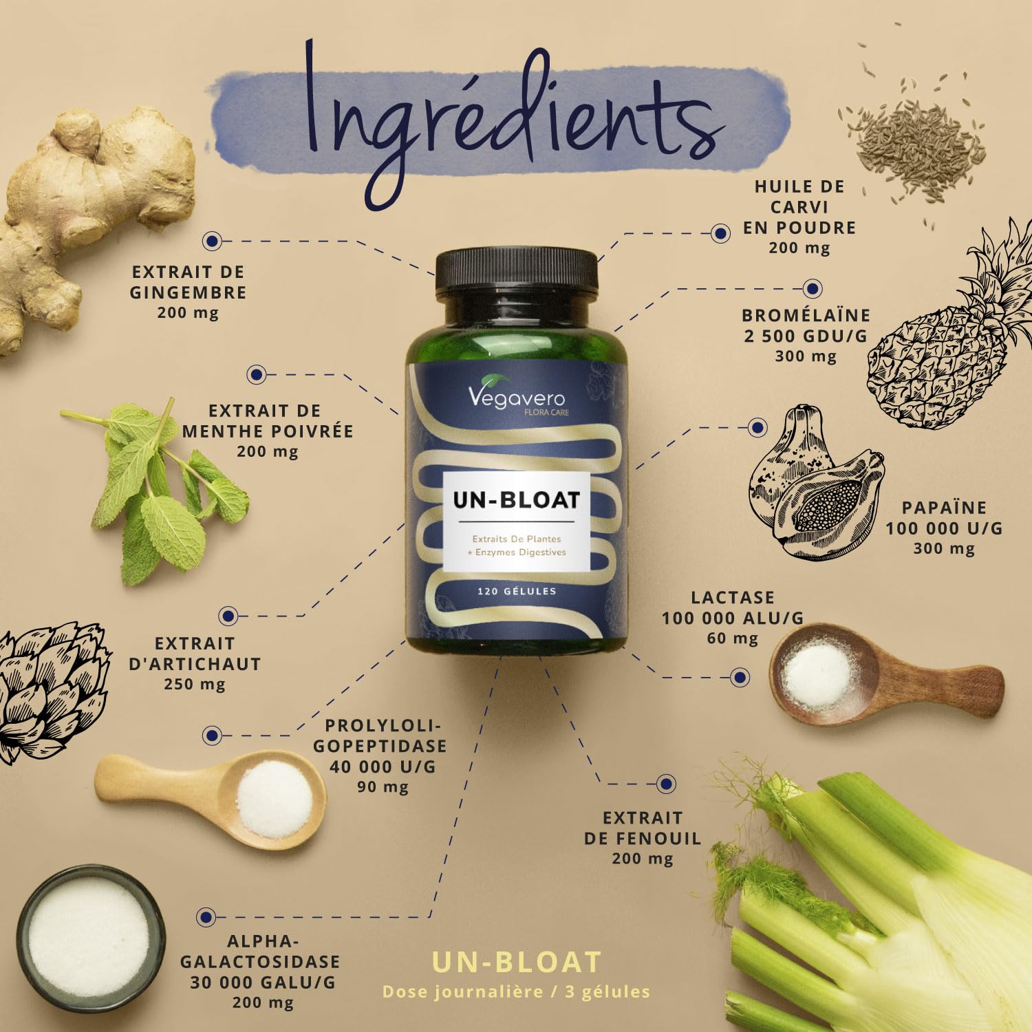 Un-Bloat Vegavero® | Complexe Anti Ballonnements + Digestion | Avec Enzymes Digestives + Extraits de Plantes | Sans Additifs & Vegan