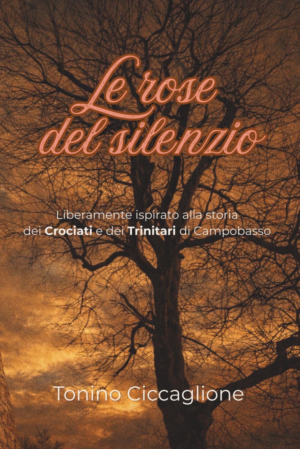 Le rose del silenzio: Liberamente ispirato alla vera storia dei Crociati e Trinitari di Campobasso (Romantasy)