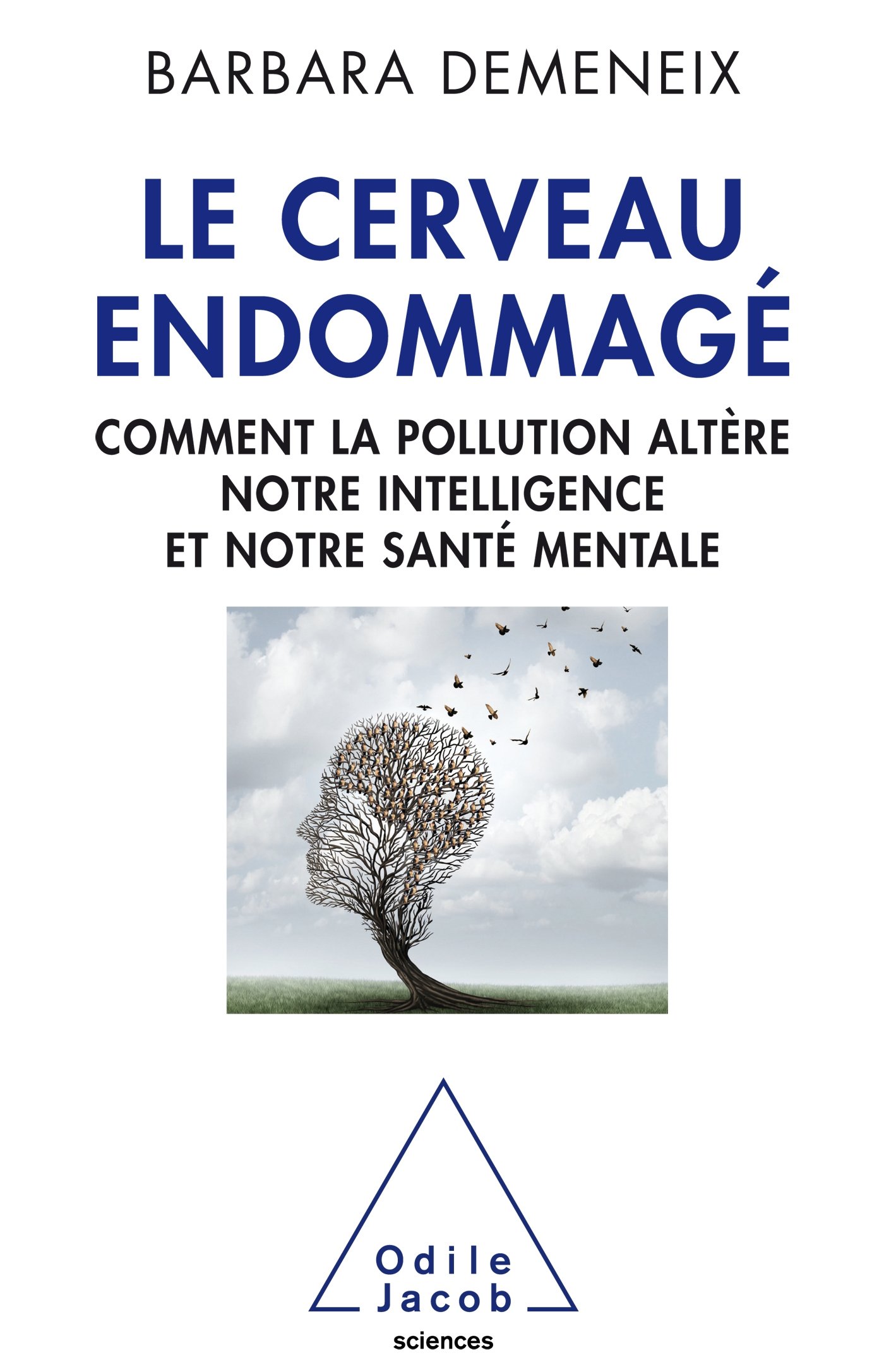 Le Cerveau endommagé: Comment la pollution altère notre intelligence et notre santé