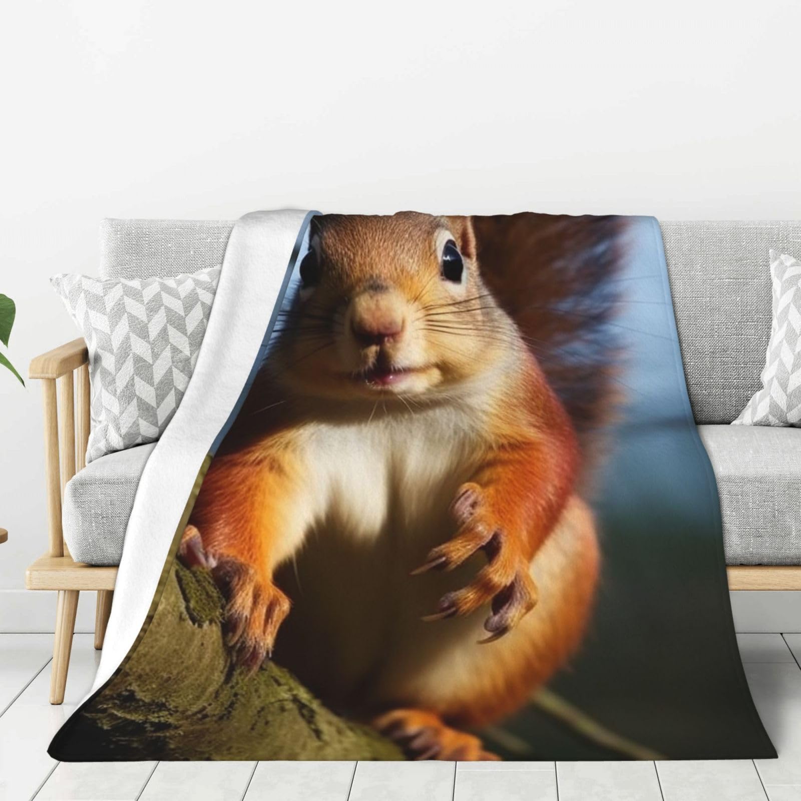 Squirrel Funny Animal Throw Blanket Plush Flannel Fleece Blanket, Soft Lightweight Cozy Blankets 50"X40" for Bed Couch Sofa Travel