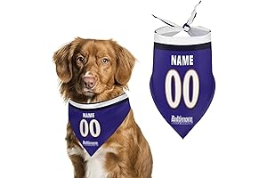 Personalized Ravens Bandana for Dog
