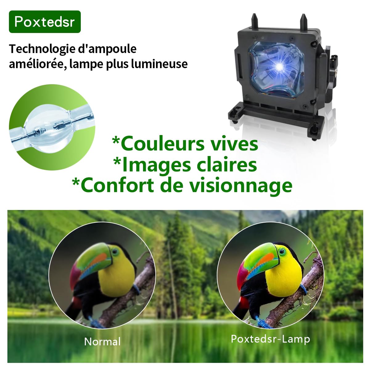 LMP-H210 Lampada di ricambio per proiettore compatibile con Sony VPL-HW45ES, VPL-HW65ES, VPL-HW45EW Proiettori con alloggiamento
