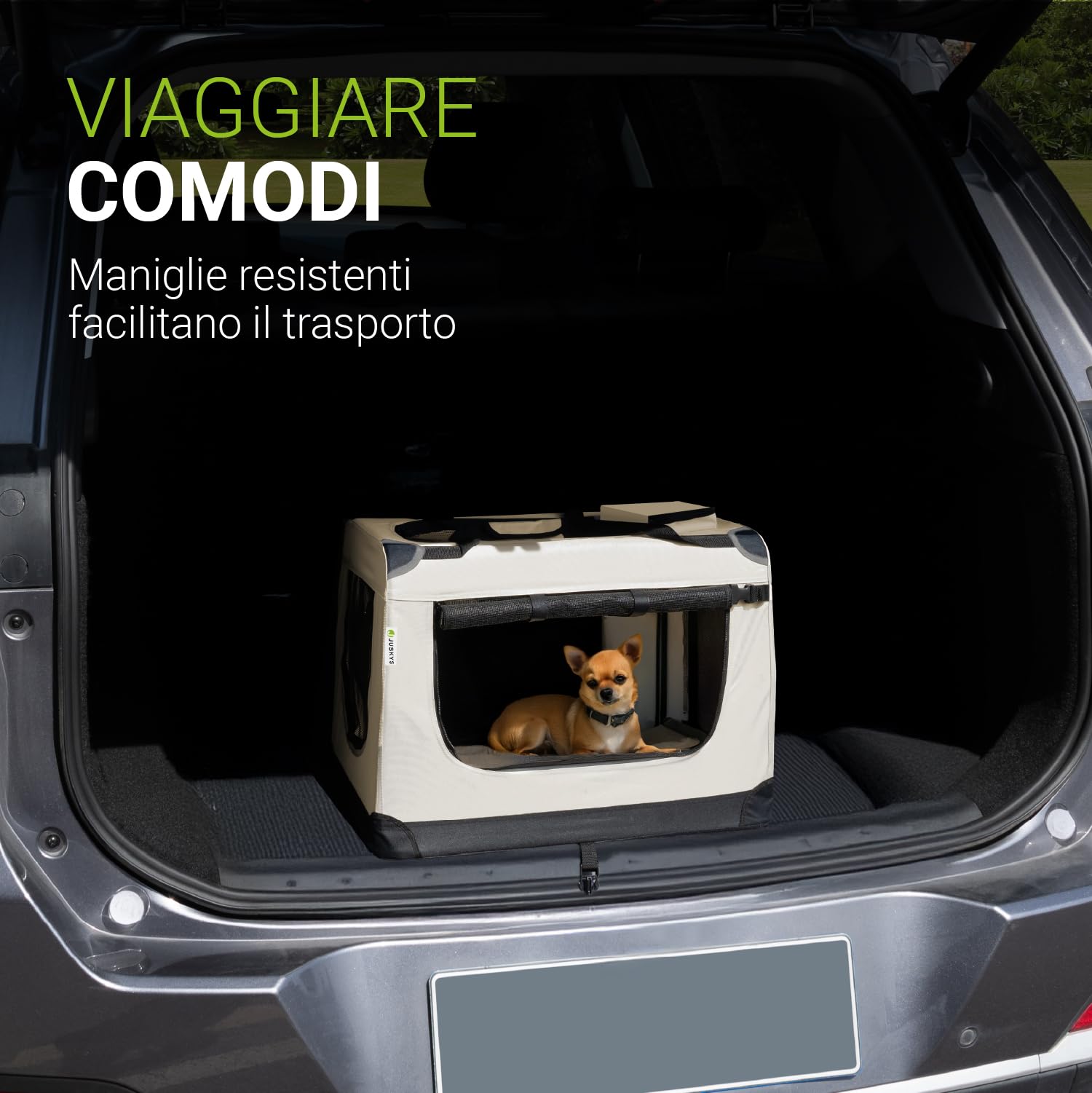 Juskys Trasportino per Cani Lassie S pieghevole e portatile 34x50x36 cm con coperta, borsa e maniglie - trasportino pieghevole per cani, gatti e animali domestici - tessuto Oxford - Beige