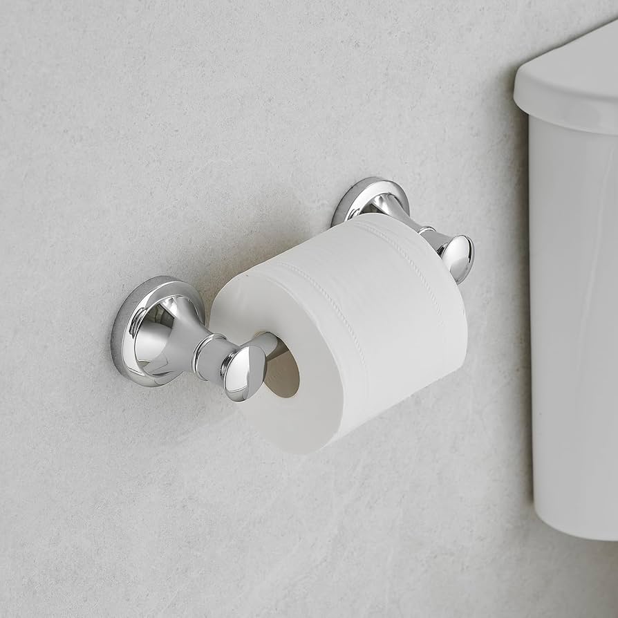 Amazon.com: BESy Wall Mounted Toilet Paper Roll Holder Rustproof