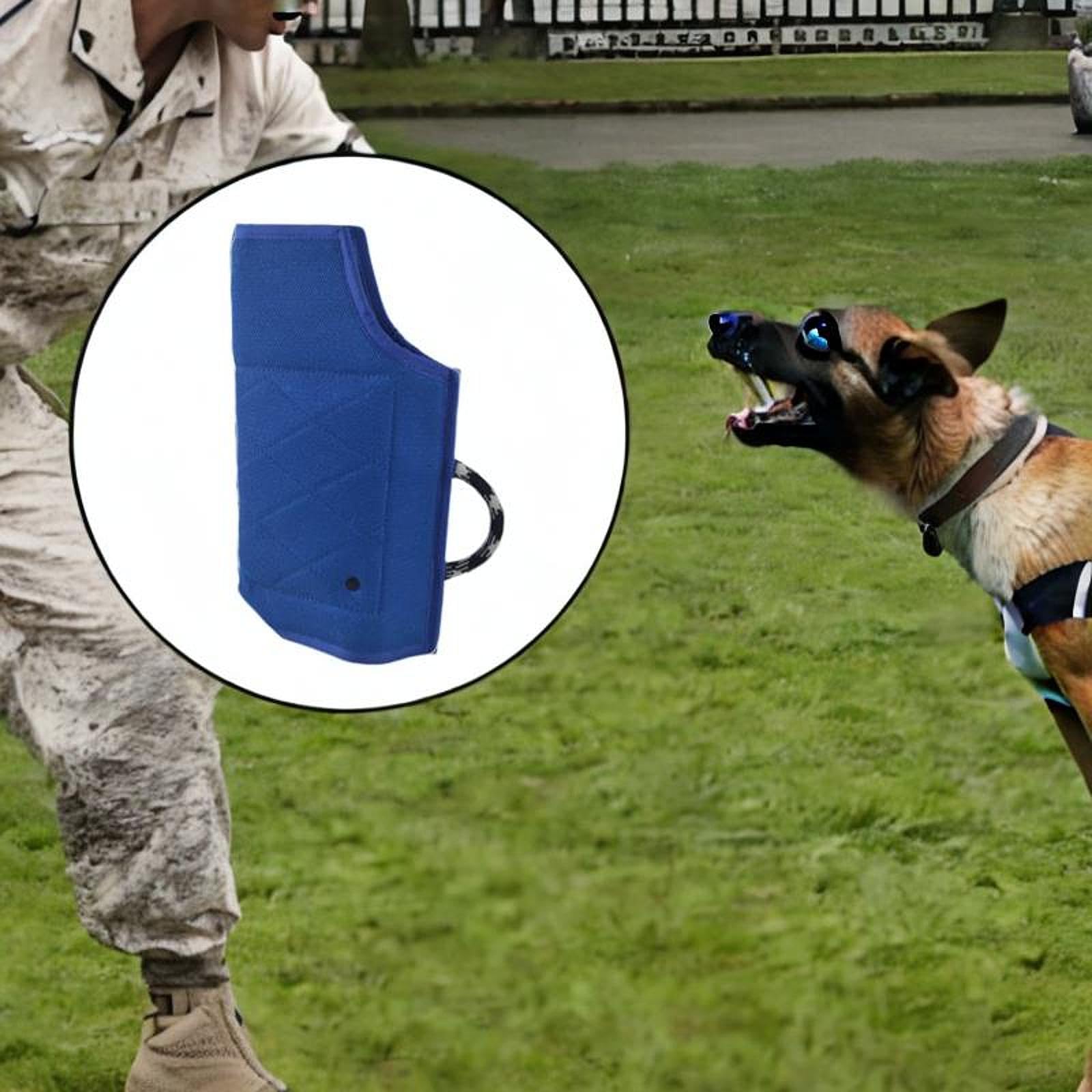Bothyi Dog Training Sleeve Training Equipment Protection Gear Thickened Sturdy Handle for Small and Medium Dogs for Training Playing, Blue