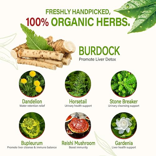 Miniatura 4 de HerbOLITHIC Bolsa de té de raíz de bardana para desintoxicación del hígado, té de hierbas 7 en 1 para salud urinaria y apoyo inmunológico con