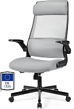 MELOKEA Ergonomic Office Chair, Desk Chair with Adjustable Headrest, Flip-up Armrests, Ergonomic Lumbar Support, Breathable Mesh, EN 1335 Certified, Grey and Black