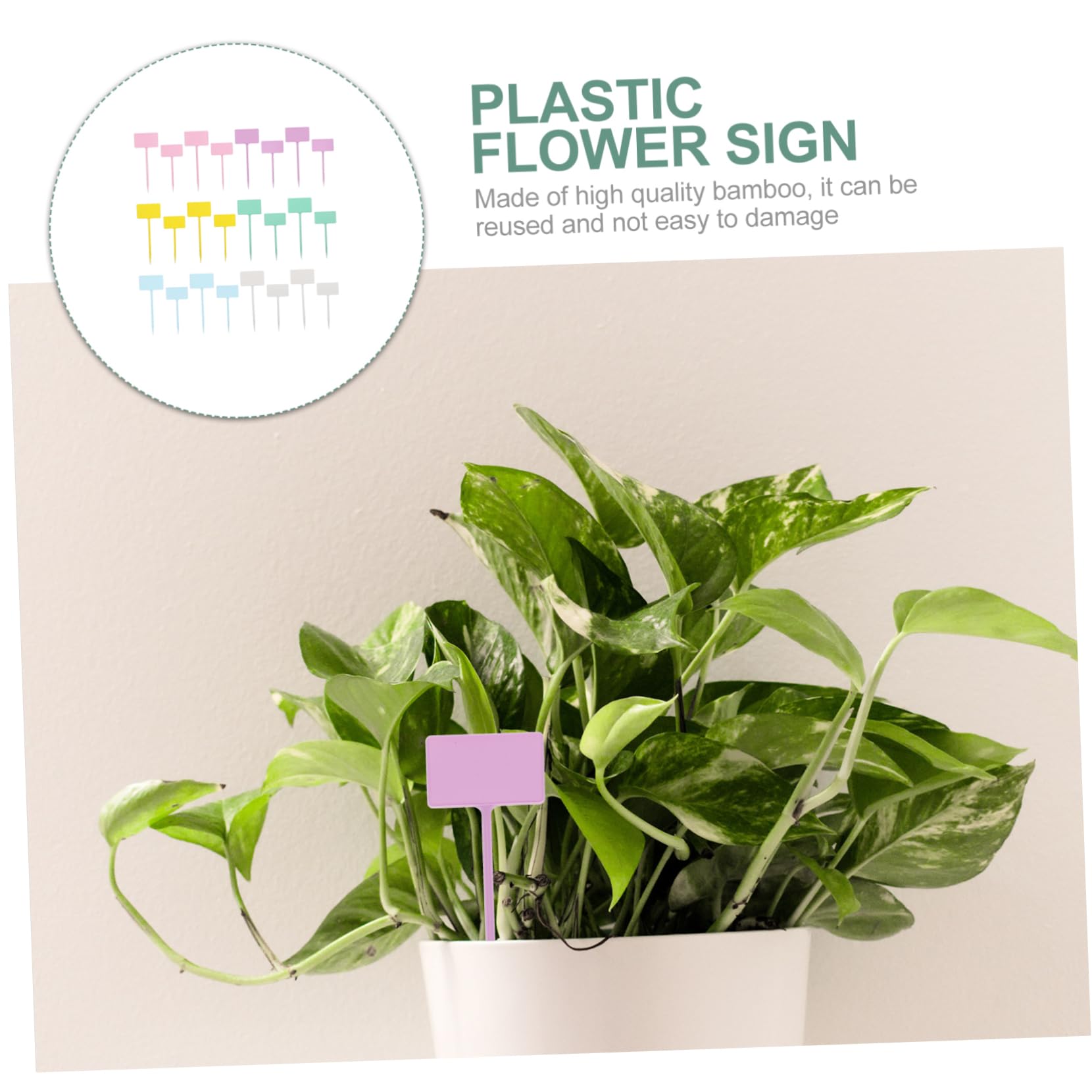 BESTonZON 5 Ensembles Étiquettes De Plantes Plastique Multicolores Lot De Durable Réutilisable Pour Jardinage Intérieur Pour Identifier Fleurs Plantes 24 Pièces * 5