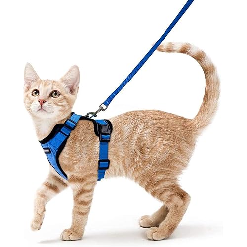 rabbitgoo Cat Harness and Leash for Walking, Escape Proof Soft Adjustable Vest Harnesses for Cats, Easy Control Breathable Reflective Strips Jacket, Navy, S(Chest: 18" - 20")