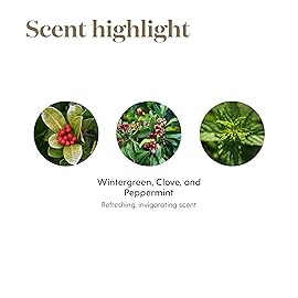 Young Living Essential Oil Blend | Refreshing & Soothing Aroma | 100% Pure Essential Oil for Home, Work, & Personal Use | Panaway | 5ml