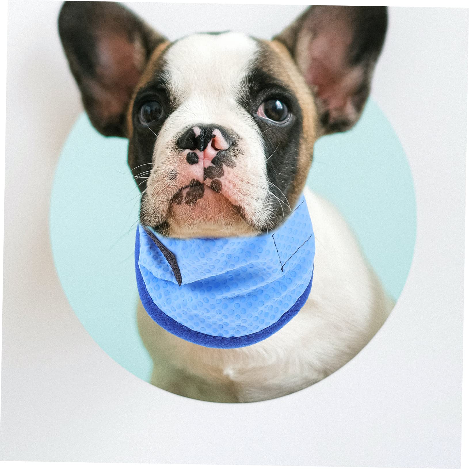 BESPORTBLE 5stücke Pet Cooling Towel Für Hunde Atmungsaktives Kühlhalsband Bandana Für Heiße Tage Triangular Design Für Optimale Abkühlung Für Outdoor-aktivitäten Mit Punkten