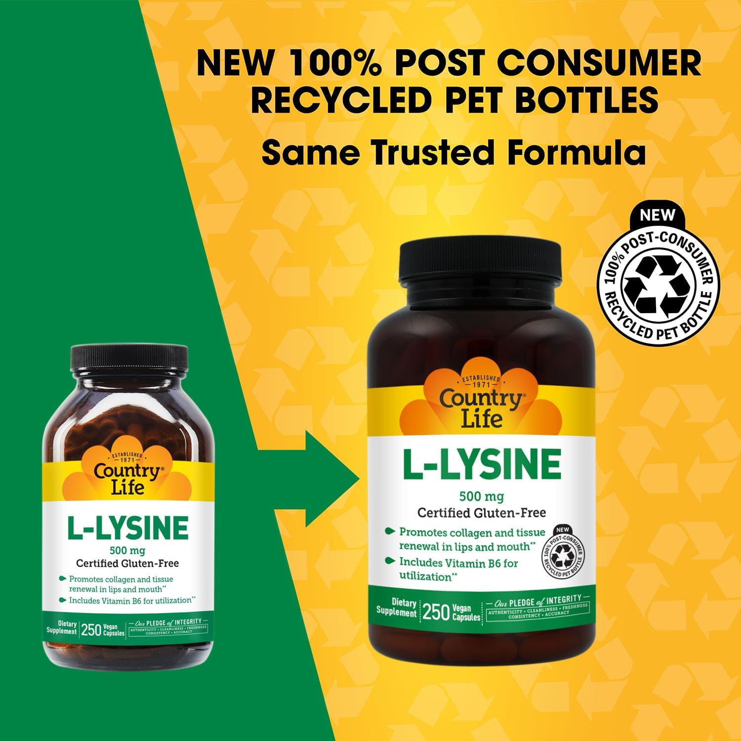 Country Life L-Lysine 500mg with B-6, Supports Immune Health, Promotes Collagen Renewal in Lips and Mouth, 250 Vegan Capsules, Certified Gluten Free, Certified Vegan