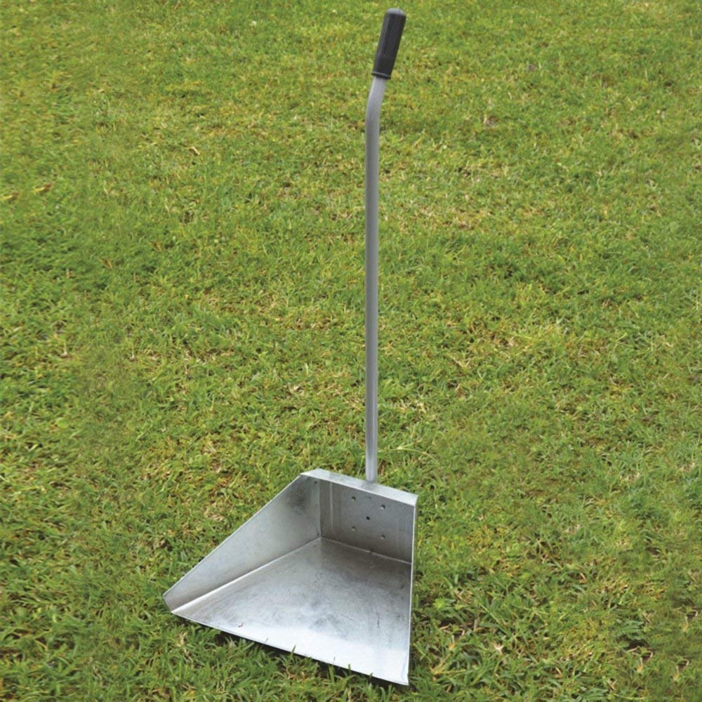 Paletta per Spazzatura in Acciaio Zincato con Manico 35x25 cm H 78 cm