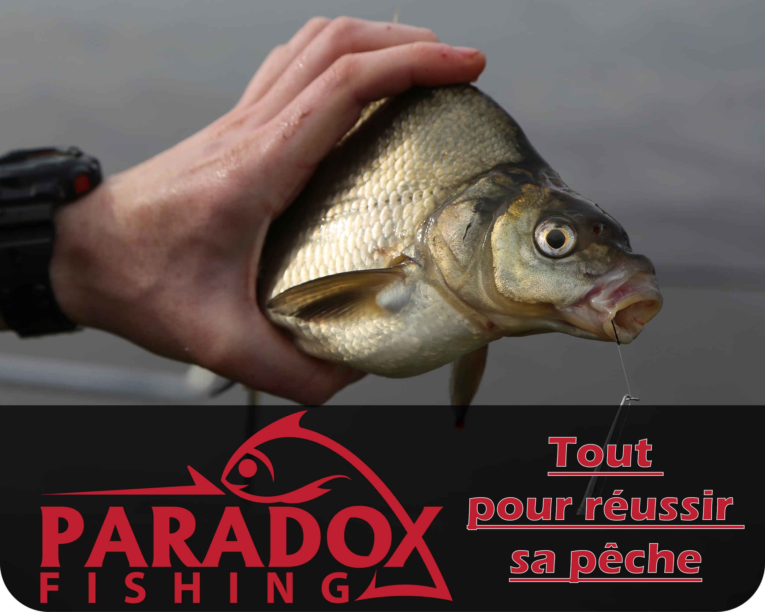 Paradox Fishing lot Plomb Peche 5g à150g I 10g 15g 20g 25g 30g 40g 50g 60g 80g 100g 120g 150g I sinkers Carpe Plomb