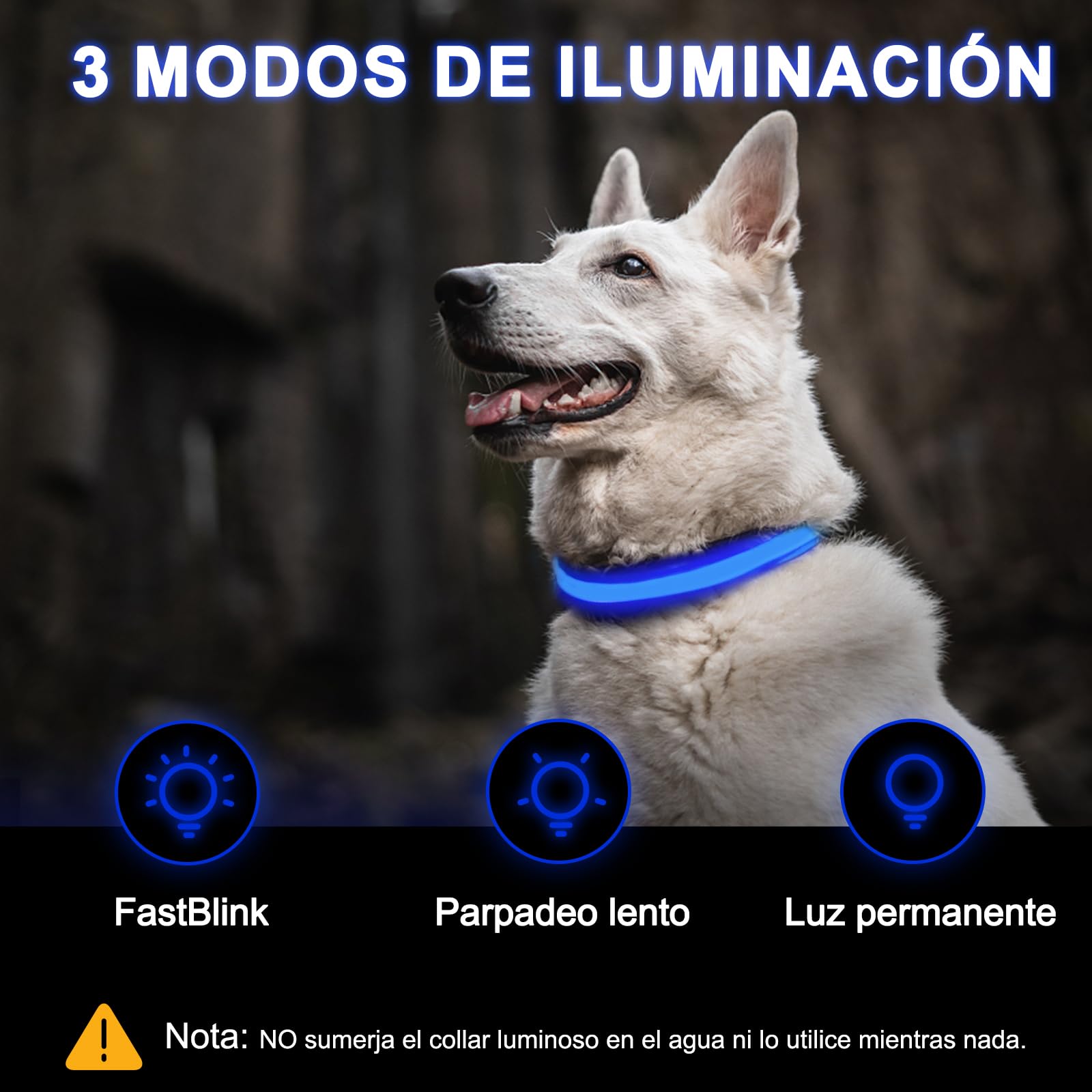 Nepfaivy Collare Luminoso per Cani Ricaricabile - Collare per Cani a Led con Lunghezza Regolabile, 3 Modalità di Illuminazione per la Sicurezza Notturna