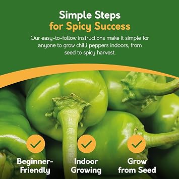 Pronto Seed Grow Your Own Chilli Plant Kit - 5 Varieties