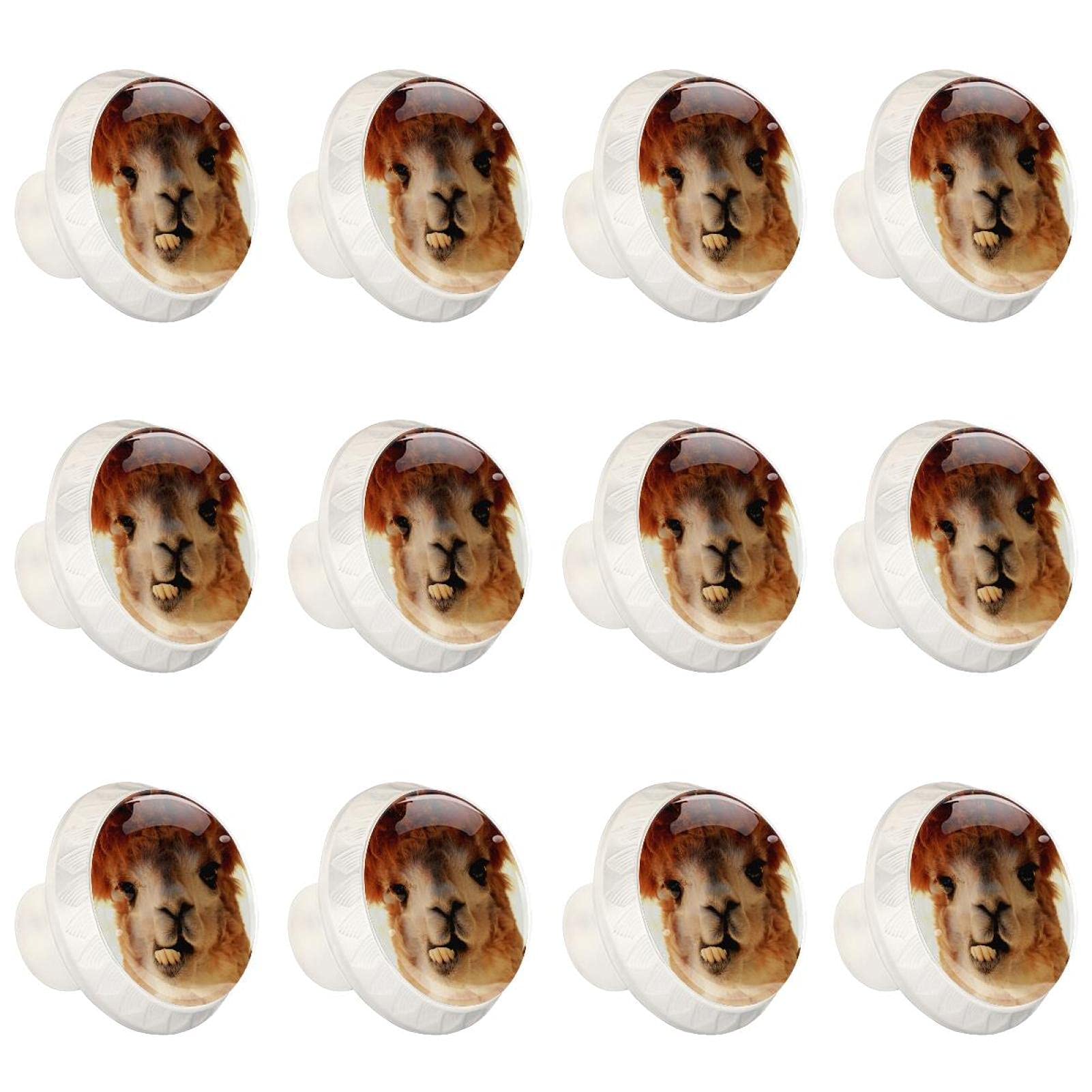 Boutons d'armoires de cuisine alpaga poignées de tiroirs enfant design animal mignon x12