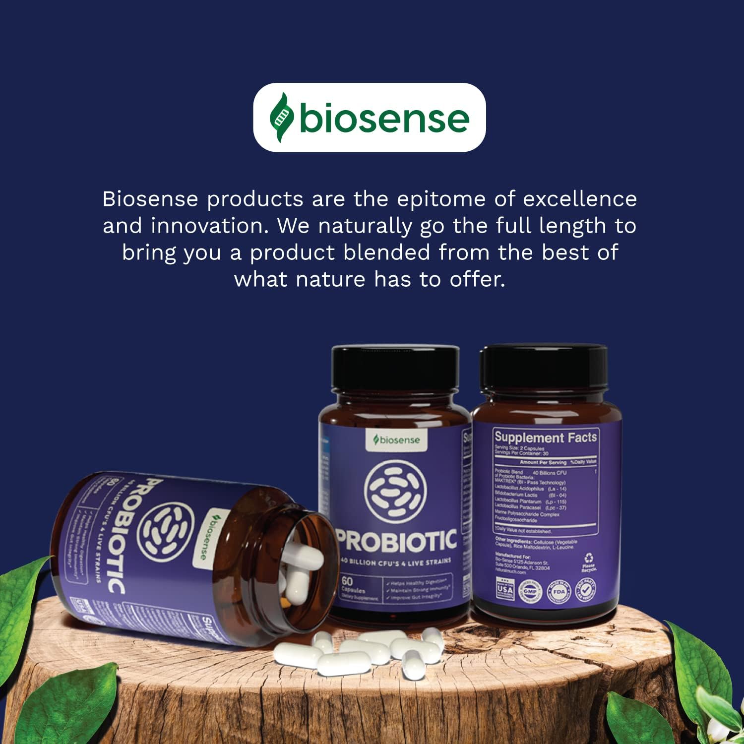 Bio Sense Probiotics Supplement for Men and Women - Natural Pure Immune System Booster with Acidophilus - Digestive Health Detox Cleanse Probiotic Formula 40 Billion CFUs 60 Capsules