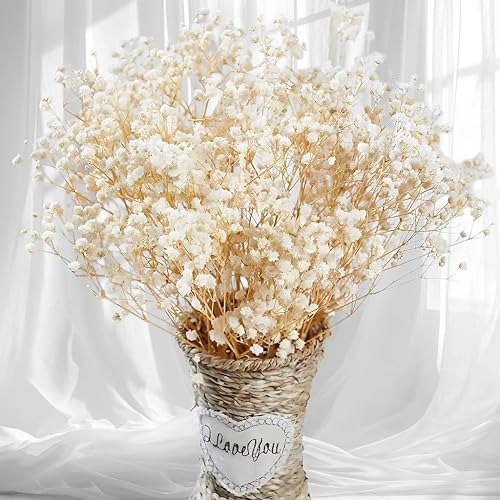 2500+ Dried Babys Breath Flowers Bulk, 17'' Ivory White Gypsophila Bouquet | Real Natural Baby's Breath Branches for Vase Filler, Wedding, Table Centerpiece, Home Decor, DIY Wreath Floral, Crafts