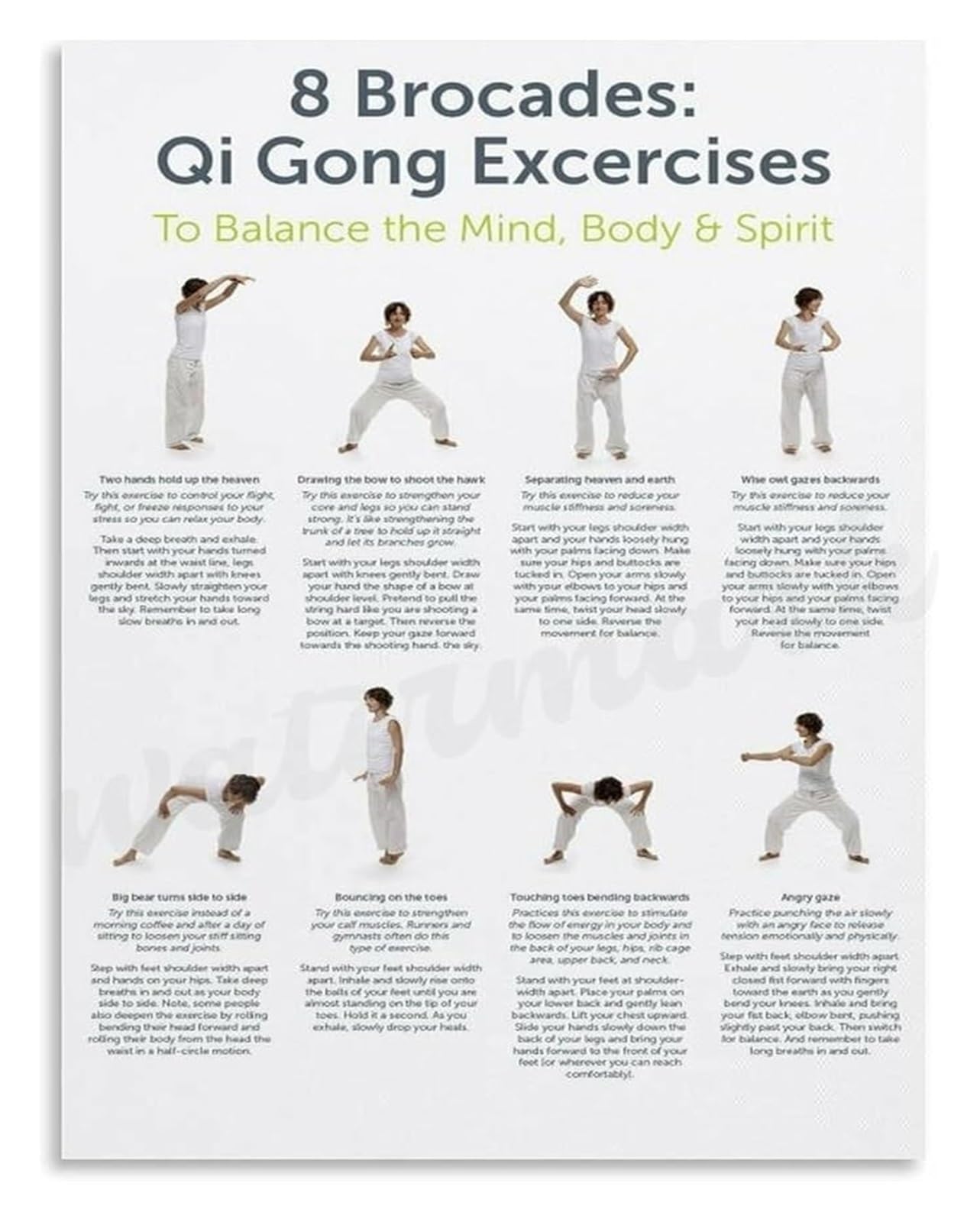 SSOPTMCB 8 Brocades Qi Gong Exercises Poster Ba Duan Jin Routine for Mind Body Balance Wall-Art for Home Practice Room Decor(Unframed,16x24inch(40x60cm))