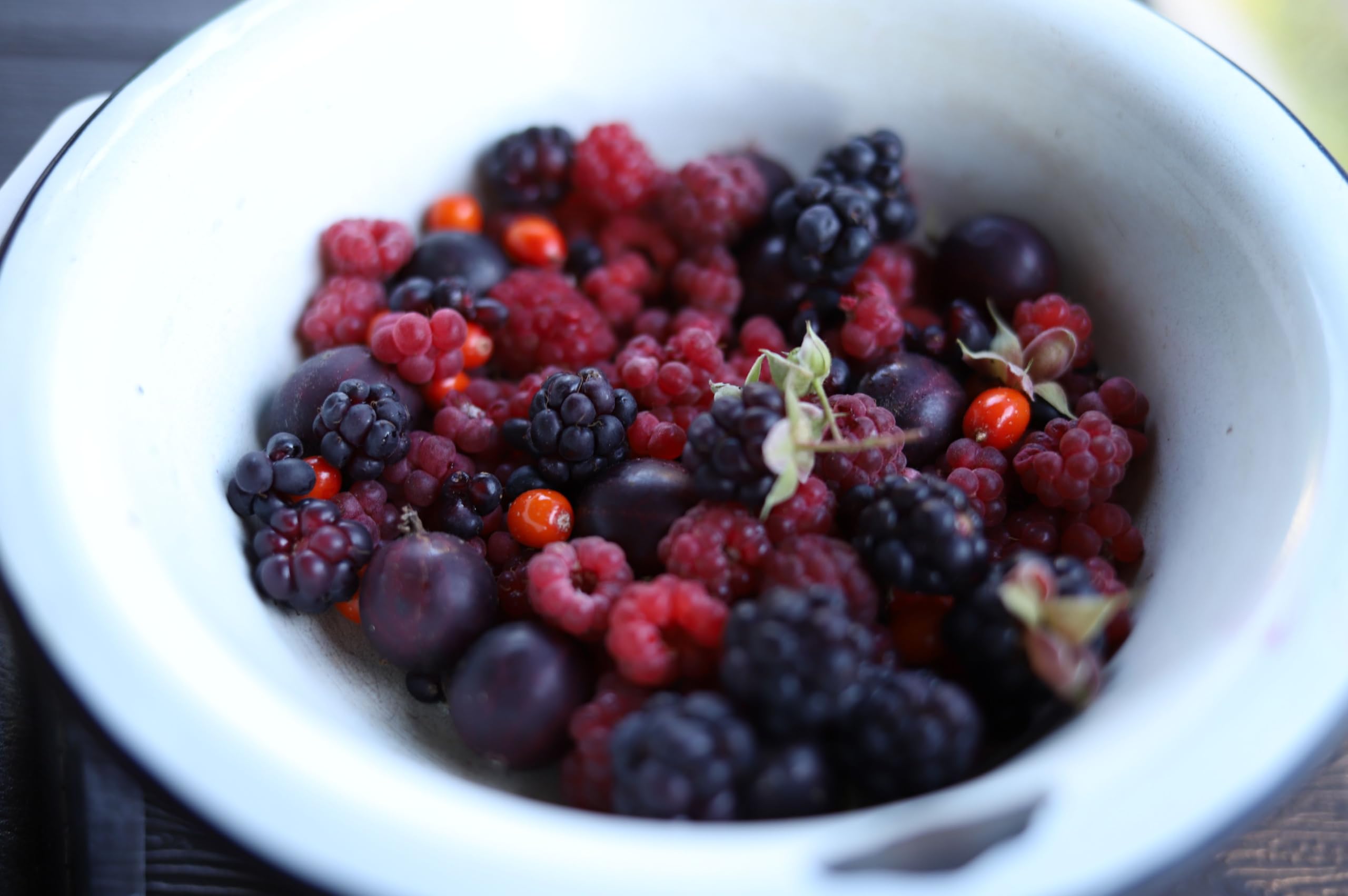 Ponthier ROTE FRÜCHTE PÜREE Sauerkirsche Himbeere Erdbeere Schwarze Johannisbeere Früchte-Püree Rote Früchtemark 1KG Frucht-Smoothie-Bowl-Sorbet-Wasser-Cocktail-Schorle (1, 1kg)