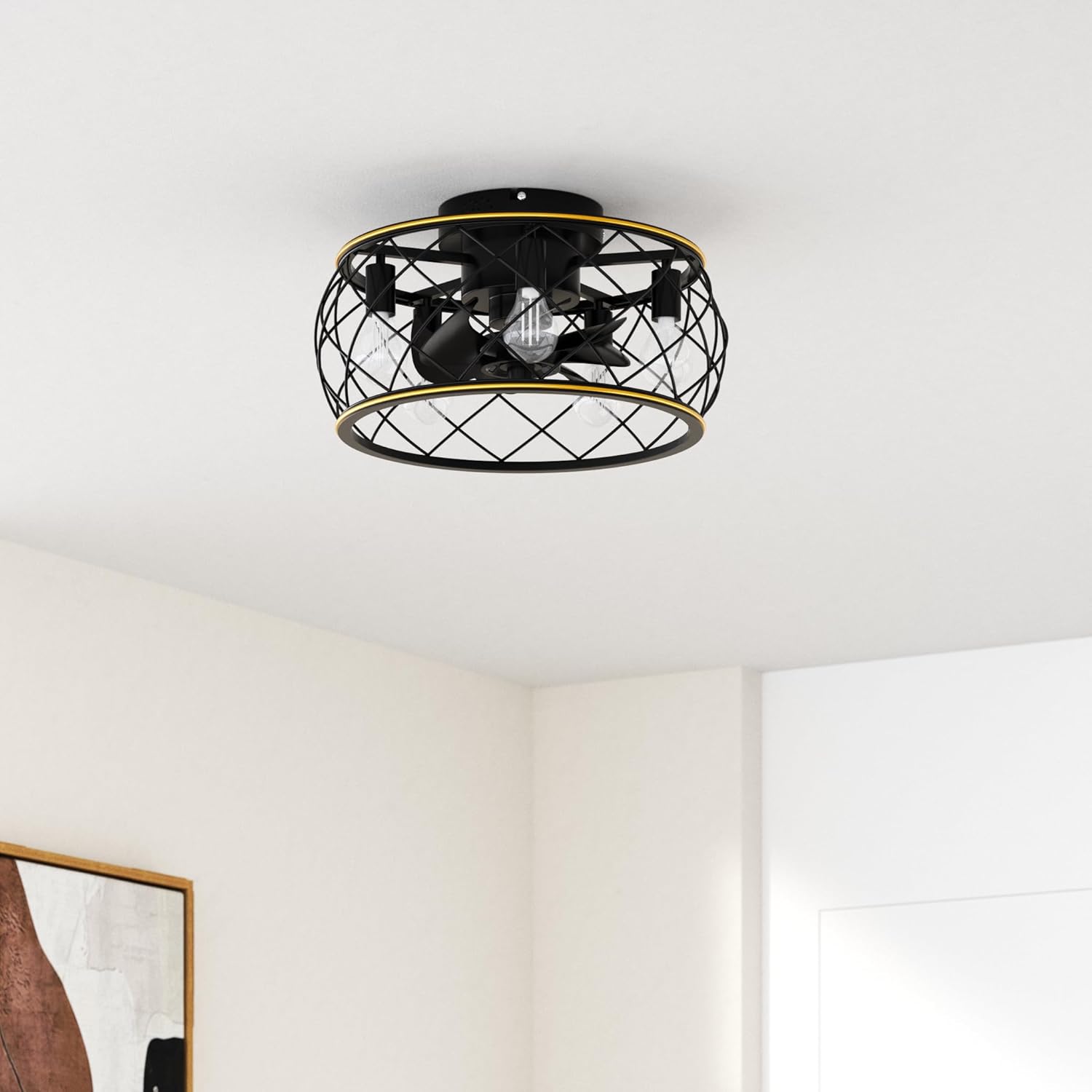 Ohniyou Caged Ceiling Fan with Lights and Remote
