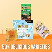 Vista 559 de Twinings Blackcurrant Breeze - Té negro, 6 paquetes de 20 unidades, bolsas de té envueltas individualmente, dulce, sabor picante, con cafeína