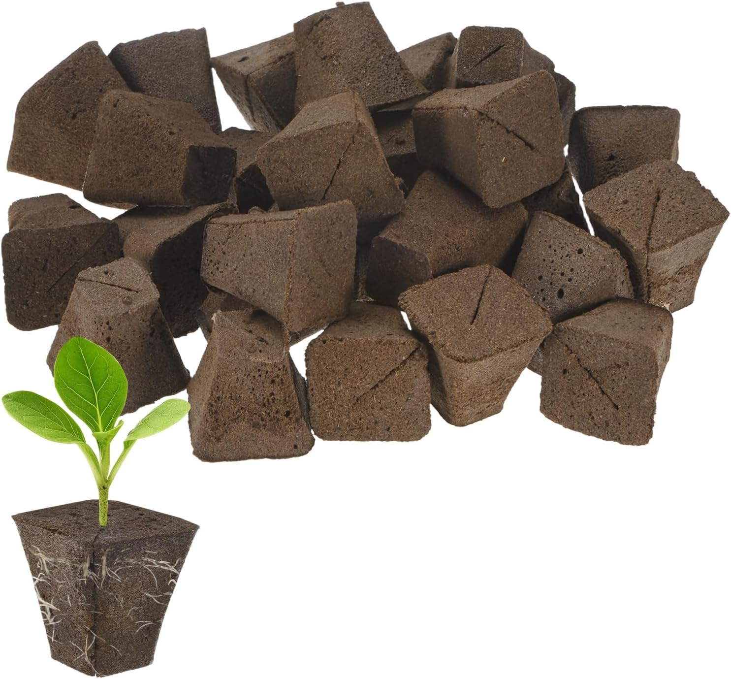 M METERXITY 50-Pack Grow Sponges, 1.7x0.8x1.8 Inch Replacement Root Growth Sponges Seed Pods for Plant Rooting/Seed Germination/Hydroponic Gardens System Supplies, Starter Plug for Seeds
