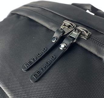 Reymond 1951 Stride Series USB, Laptop Compartment, Luggage Apparatus, Waterproof, Backpack