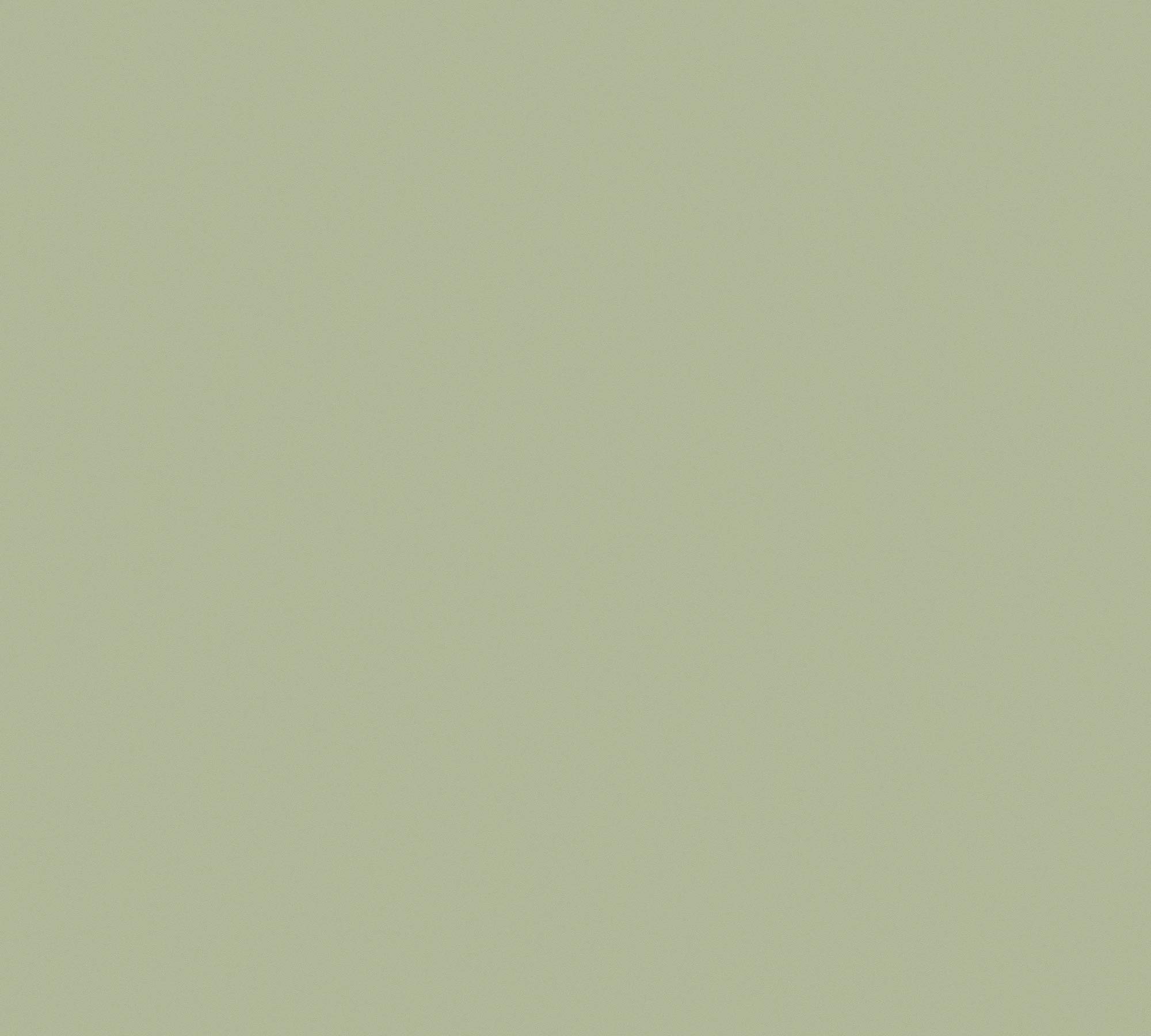 Papel Pintado Liso New Life A.S. Création Papel pintado tejido no tejido 10.05 m x 0.53 m Verde Fabricado en Alemania 376804 37680-4