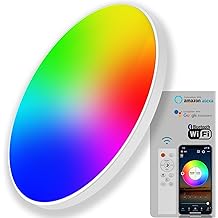 Smart LED Ceiling Light Fixtures 30W | 12inch Flush Mount Ceiling Light with Remote Control | IP44 Waterproof | Works with Alexa Google Home | DIY RGB Color | LED Lights for Bedroom Bathroom