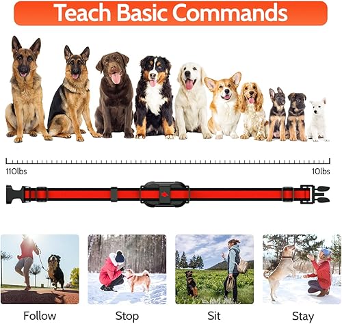 Miniatura 7 de Collar eléctrico de entrenamiento para perros con 4 modos de entrenamiento y control remoto recargable, rango impermeable de 3300 pies para perros